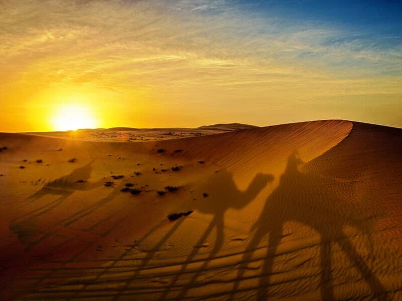 early morning sunrise in the desert
