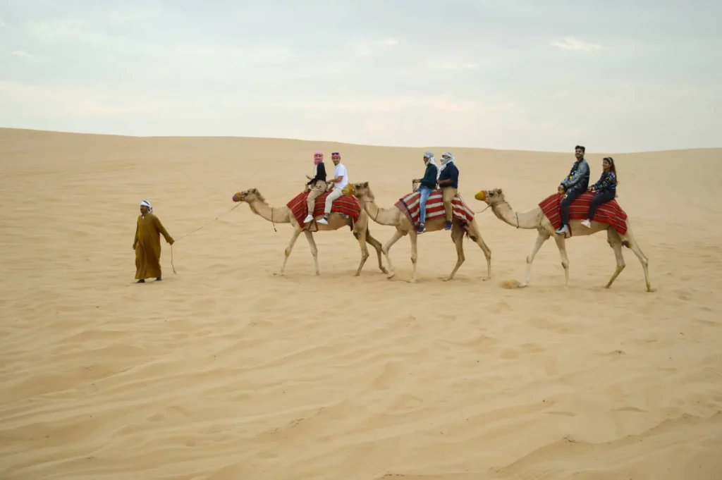 Camel Ride Desert Safari Dubai