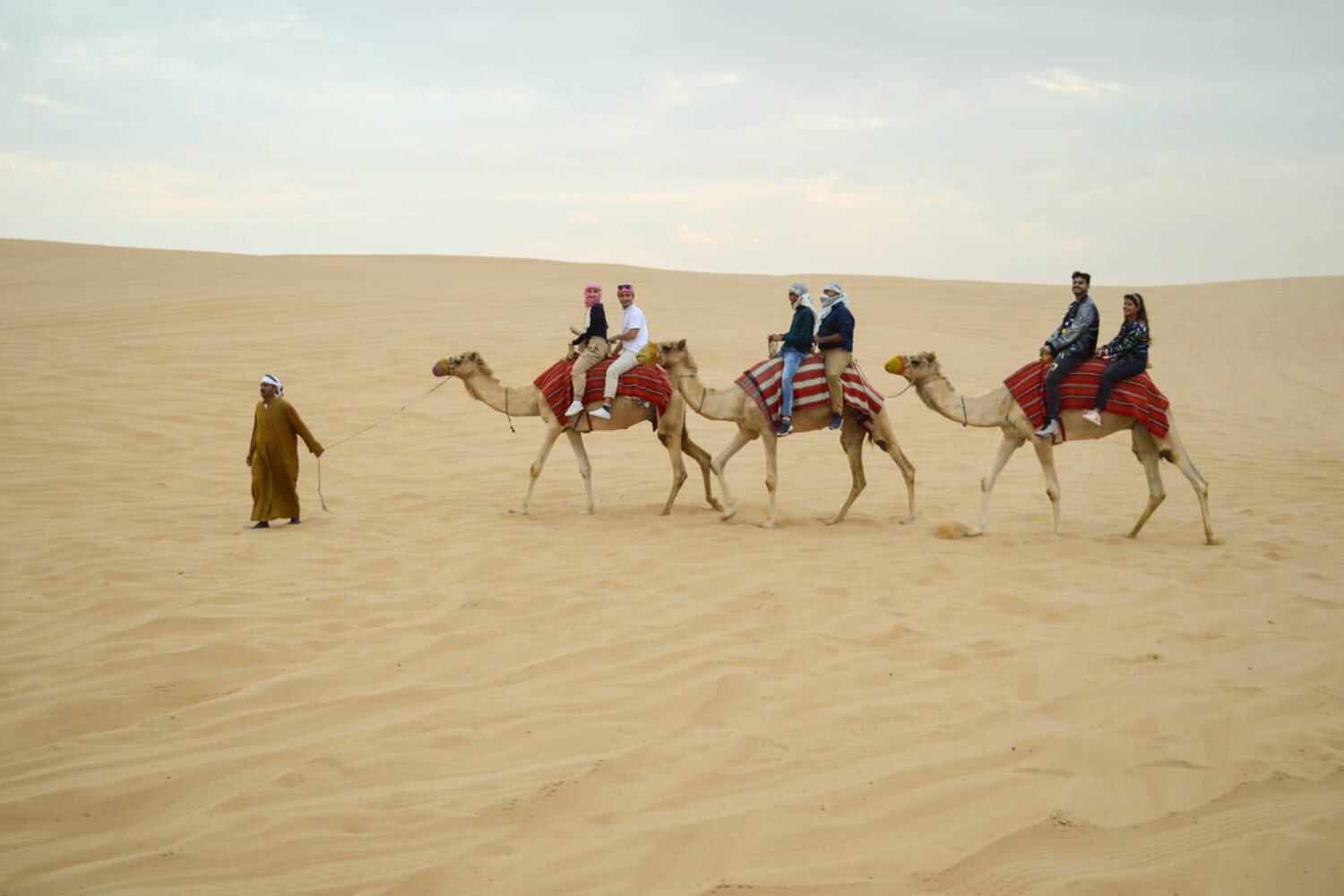 Camel Desert Safari