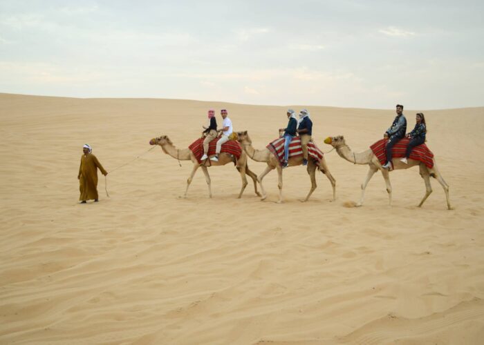 Camel Desert Safari