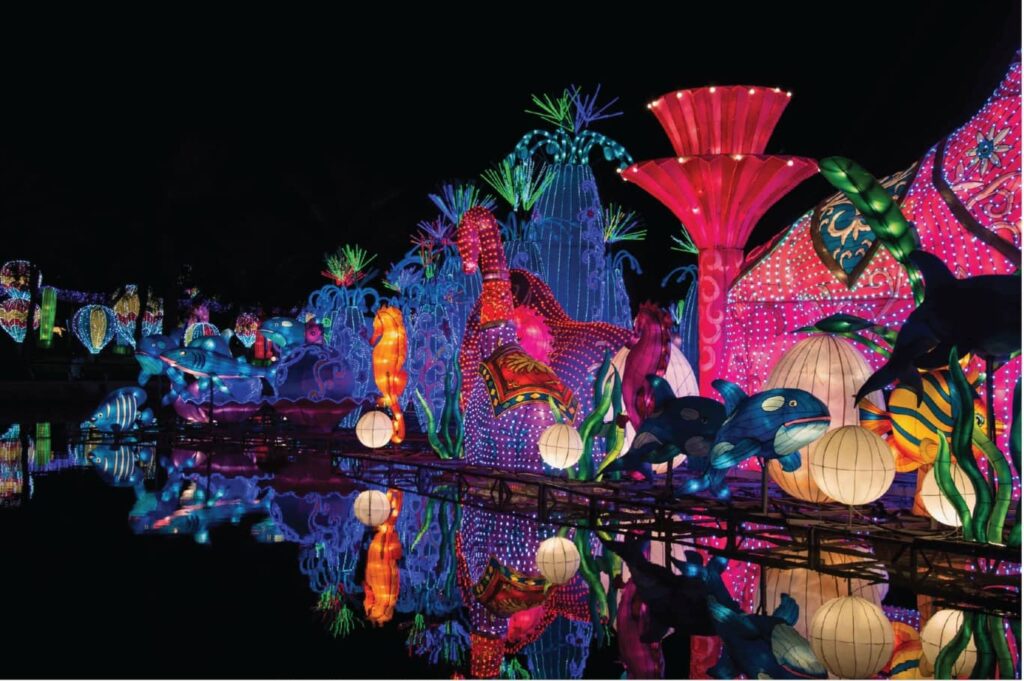 Dubai Garden Glow Peacock