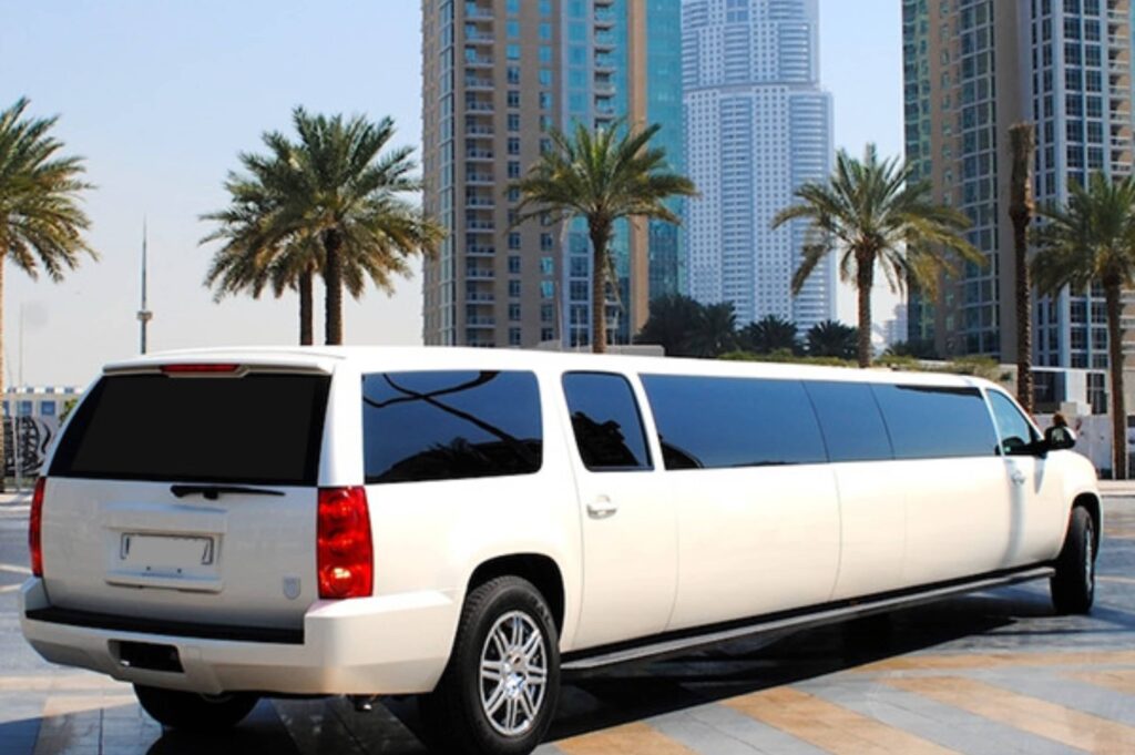 GMC Asanti Limousine Ride Luxury on the Road