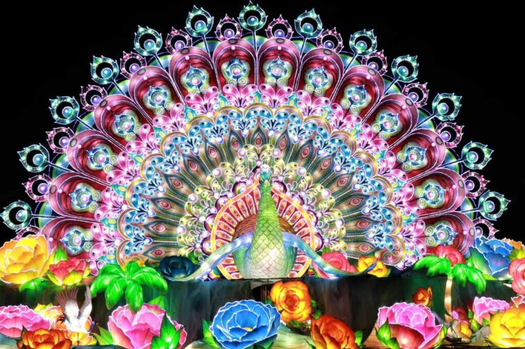 Dubai Garden Glow Peacock