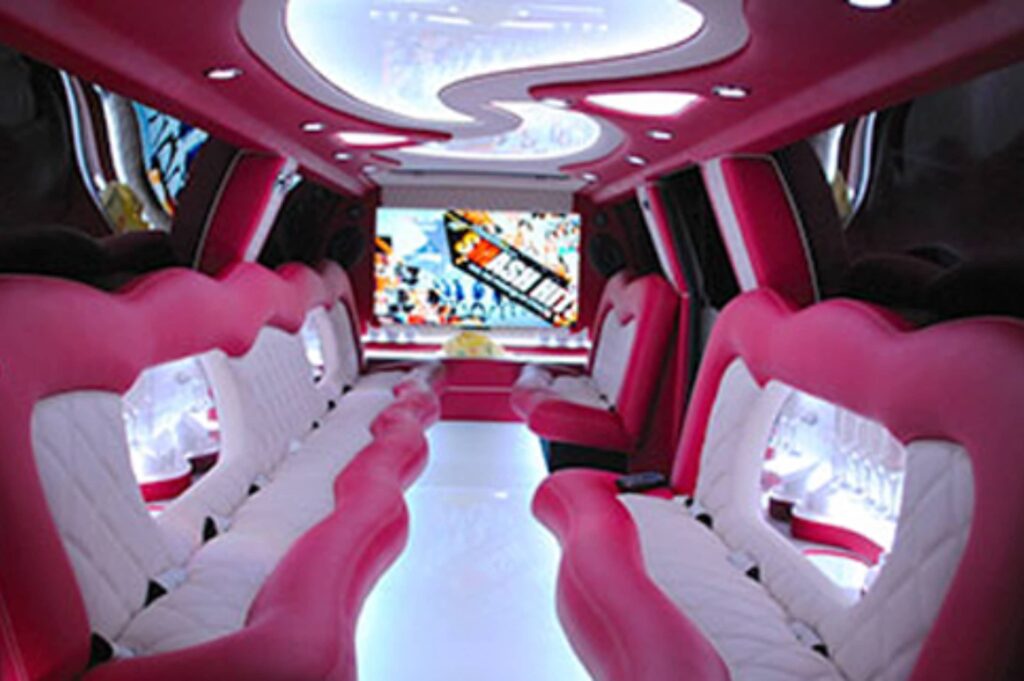 GMC Asanti Limousine Ride Luxury Car Tv Inside