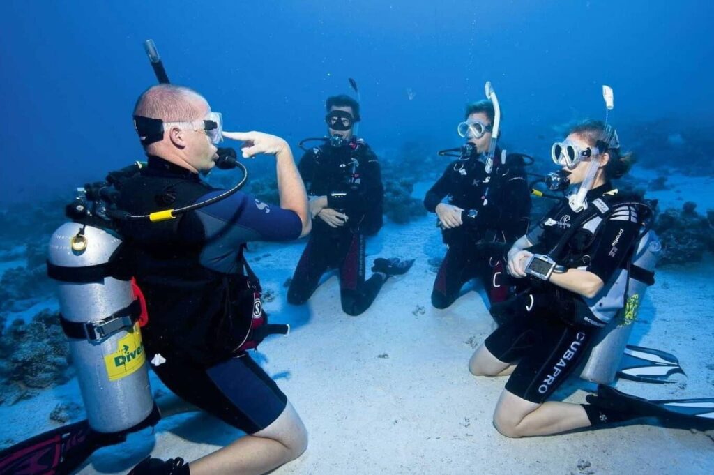 Scuba Diving Tour