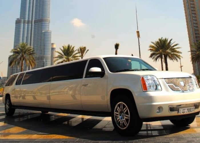GMC Asanti Limousine Ride Luxury Car