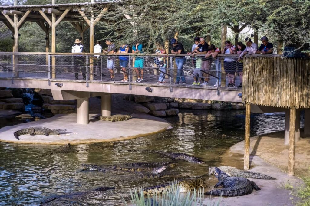 Dubai Crocodile Park Tickets