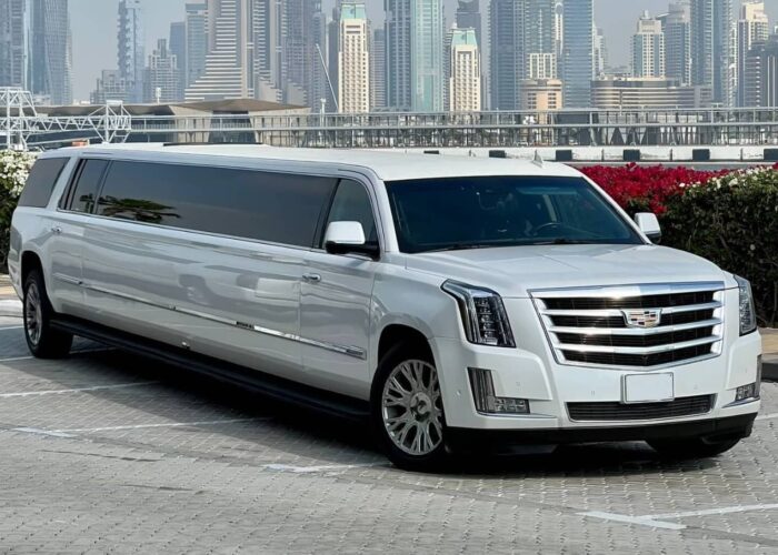 White Panther Limousine Dubai Two-Way Communication