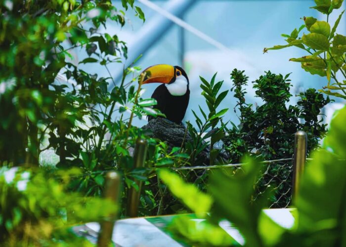 The Green Planet Dubai