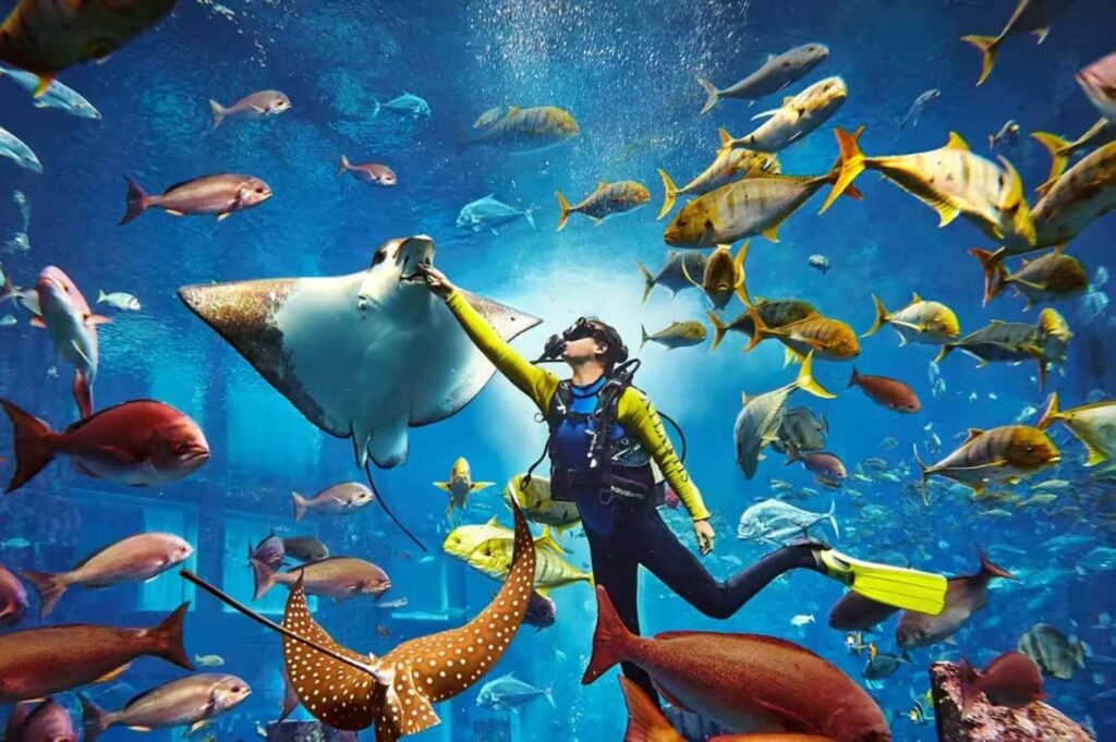 The Lost Chambers Aquarium