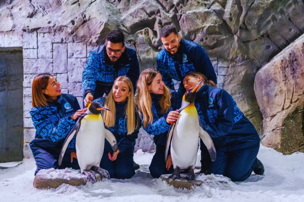 Ski Dubai Tickets Enjoy with penguins