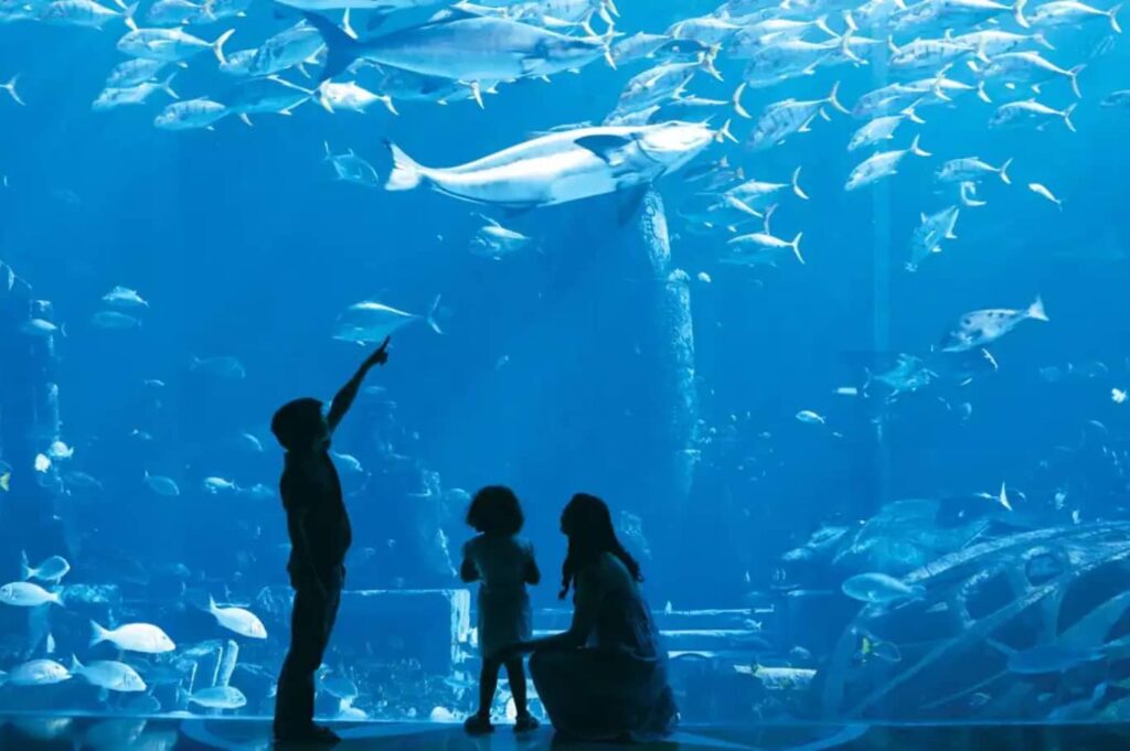 The Lost Chambers Aquarium
