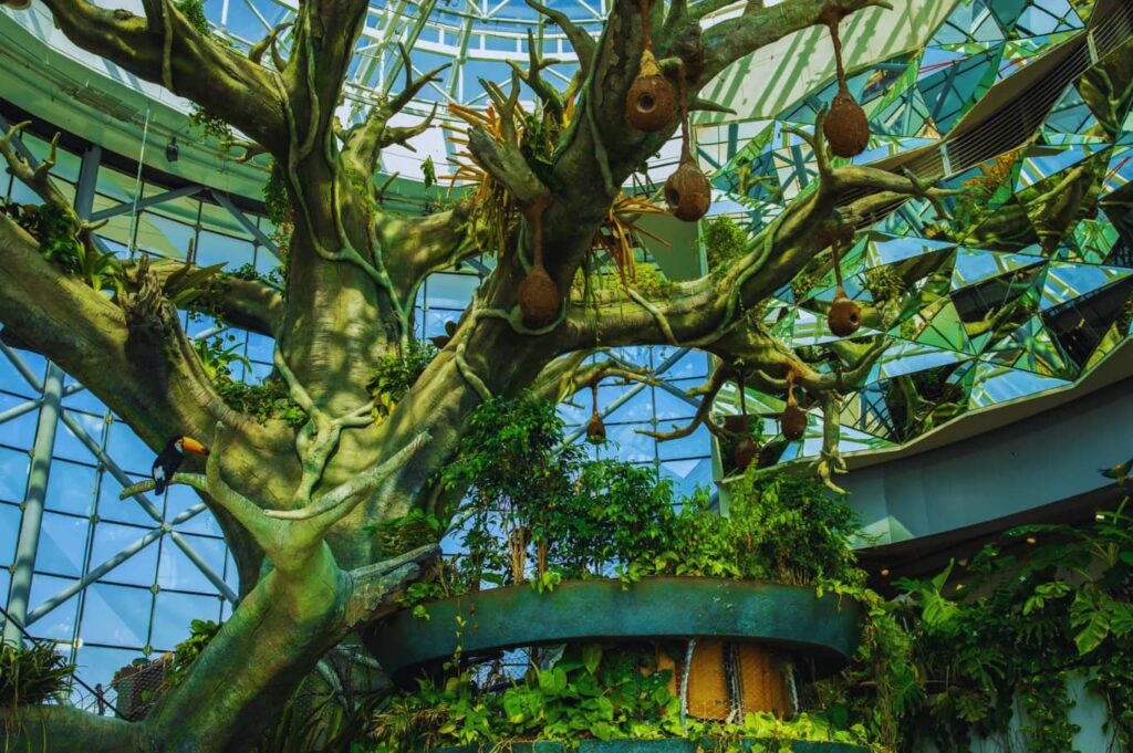 The Green Planet Dubai Plants