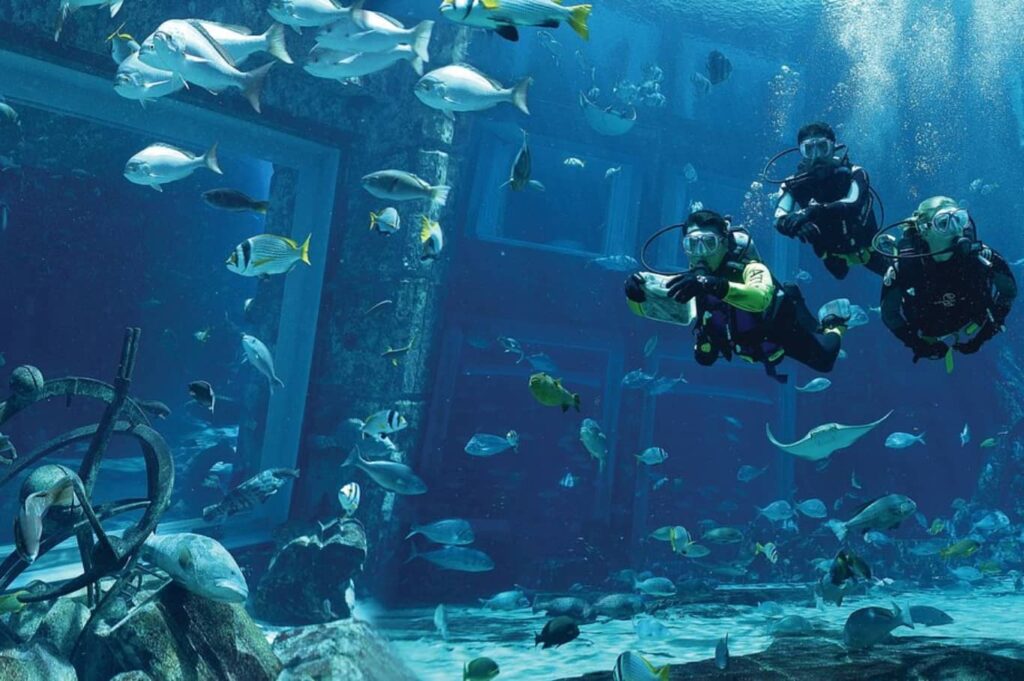 The Lost Chambers Aquarium