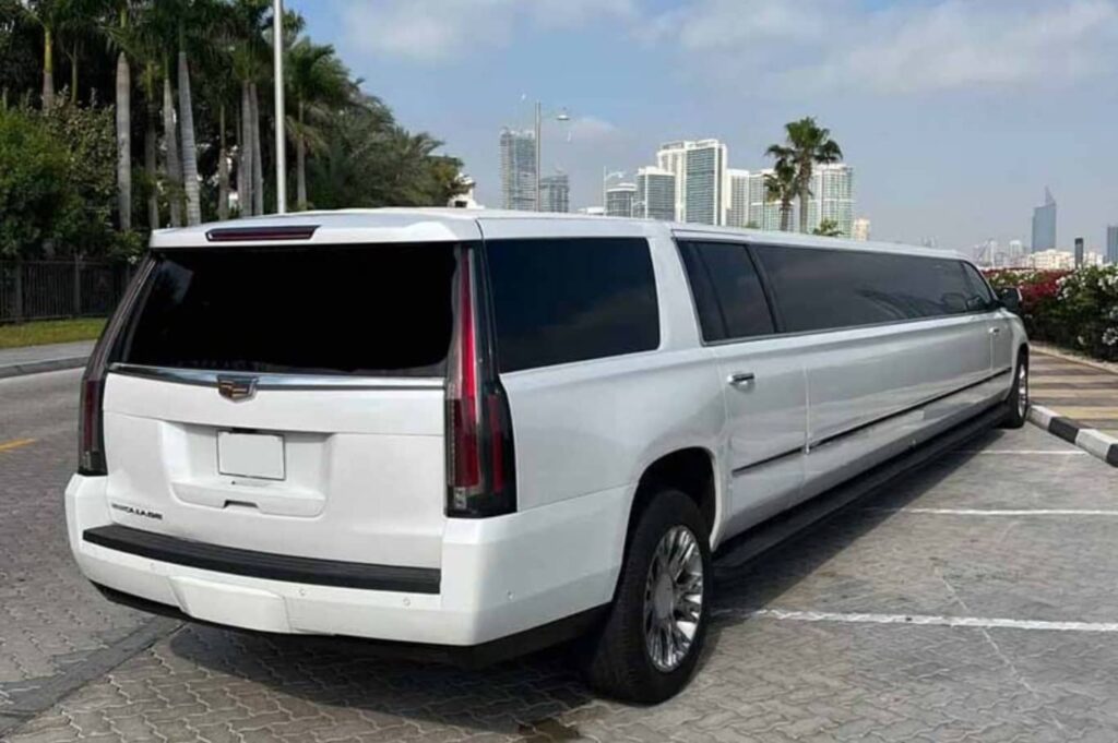 White Panther Limousine Dubai Two-Way Communication