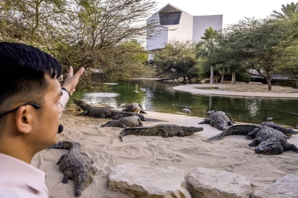 Dubai Crocodile Park Tickets