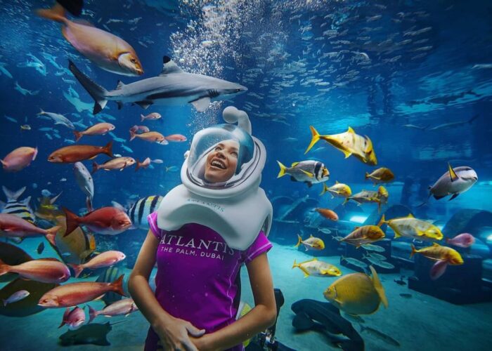 The Lost Chambers Aquarium