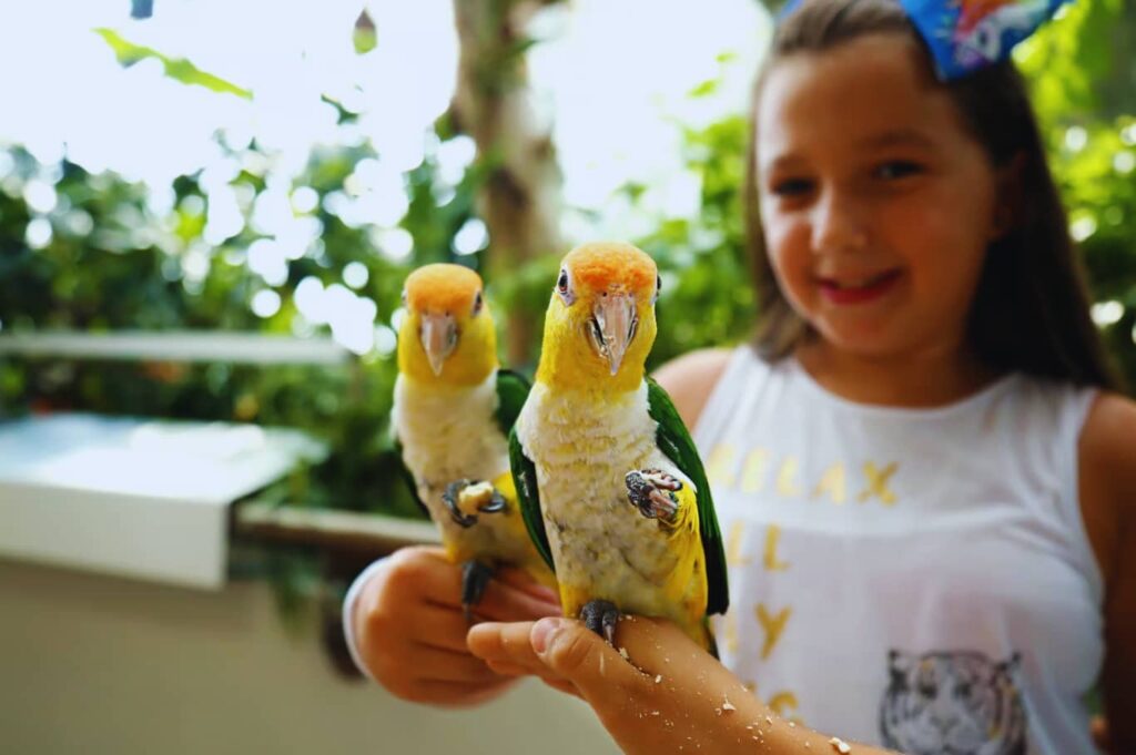 The Green Planet Dubai Parrots