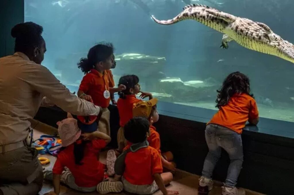 Dubai Crocodile Park Tickets