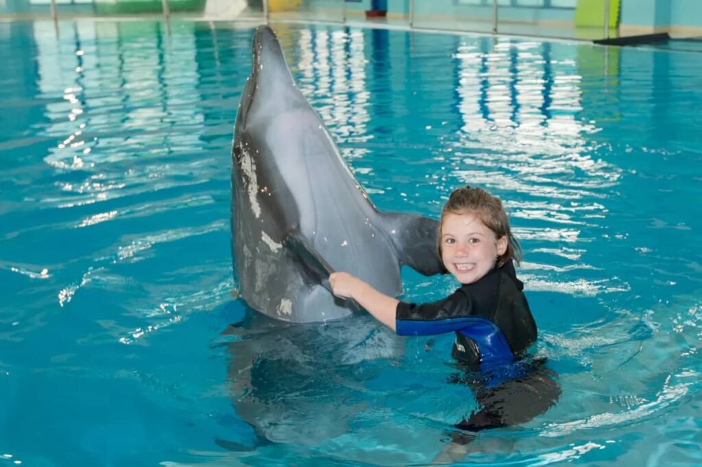 Dubai Dolphinarium Tickets Kids Enjoy with Dolphin