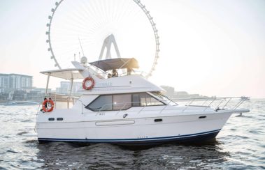 40 FT Cobale Yacht Rental Dubai Dubai Marina