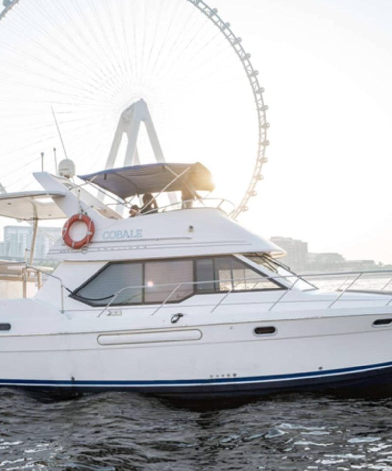40 FT Cobale Yacht Rental Dubai Dubai Marina