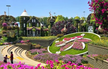 Dubai Miracle Garden Tickets Beautiful