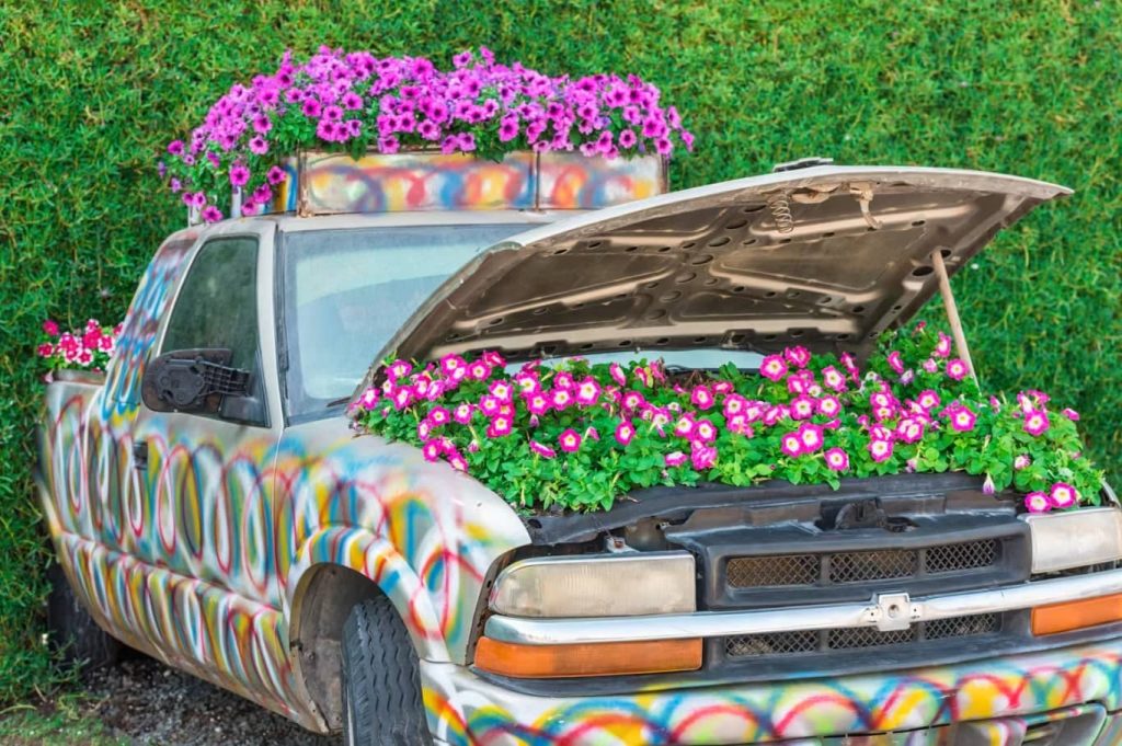 Dubai Miracle Garden Tickets Car