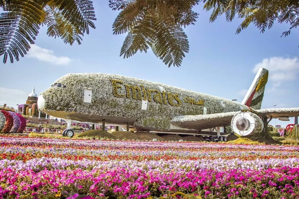Dubai Miracle Garden Tickets plane